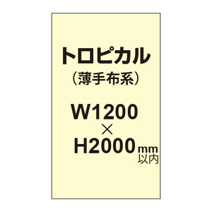 トロピカル （薄手布系）【W1200?H2000mm以内】