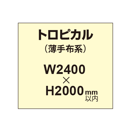 トロピカル （薄手布系）【W2400?H2000mm以内】