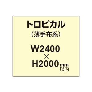 トロピカル （薄手布系）【W2400?H2000mm以内】