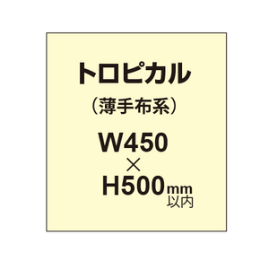 トロピカル （薄手布系）【W450?H500mm以内】