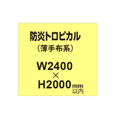 防炎トロピカル （薄手布系）【W2400?H2000mm以内】