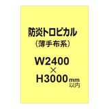 防炎トロピカル （薄手布系）【W2400?H3000mm以内】