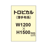 トロピカル （薄手布系）【W1200?H1500mm以内】