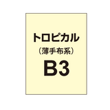 トロピカル B3（薄手布系）