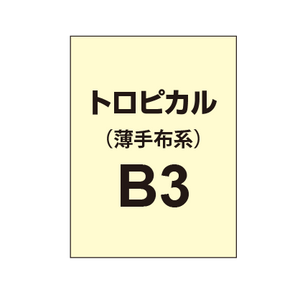 トロピカル B3（薄手布系）