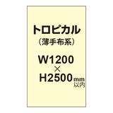 トロピカル （薄手布系）【W1200?H2500mm以内】