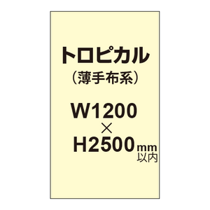 トロピカル （薄手布系）【W1200?H2500mm以内】