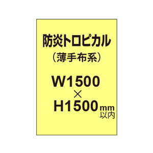 防炎トロピカル （薄手布系）【W1500?H1500mm以内】