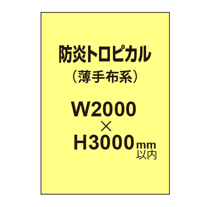 防炎トロピカル （薄手布系）【W2000?H3000mm以内】