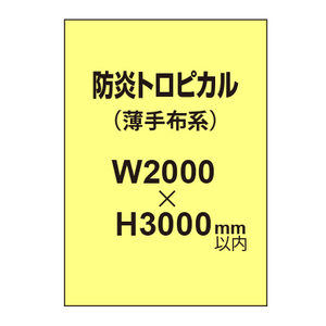 防炎トロピカル （薄手布系）【W2000?H3000mm以内】