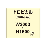 トロピカル （薄手布系）【W2000?H1500mm以内】