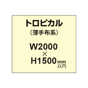 トロピカル （薄手布系）【W2000?H1500mm以内】