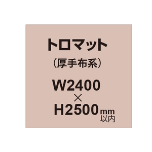 トロマット （厚手布系）【W2400?H2500mm以内】