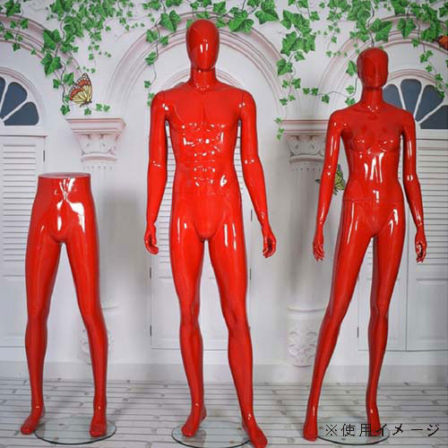 パンツボディ フロア対応の男性マネキン グロスレッド | 店舗什器の