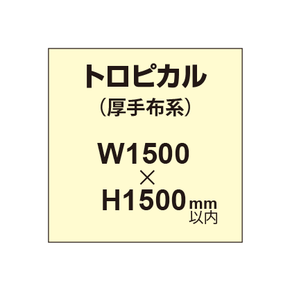 トロピカル （薄手布系）【W1500～H1500mm以内】