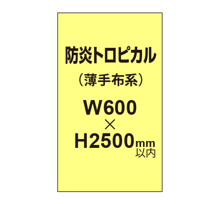 防炎トロピカル （薄手布系）【W600～H2500mm以内】