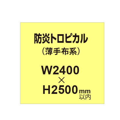 防炎トロピカル （薄手布系）【W2400～H2500mm以内】