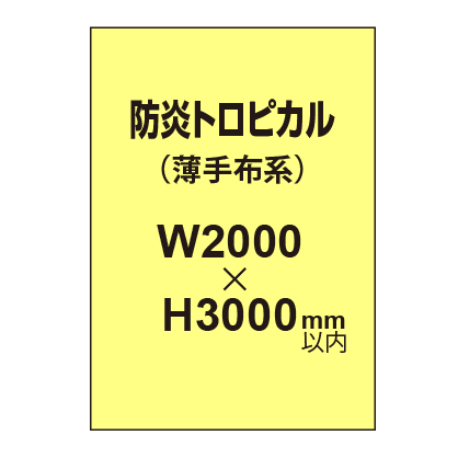 防炎トロピカル （薄手布系）【W2000～H3000mm以内】