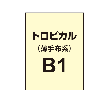 トロピカル B1（薄手布系）