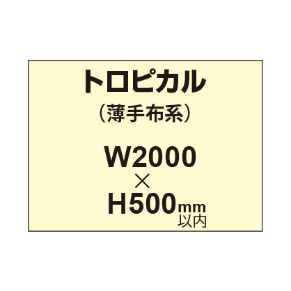 トロピカル （薄手布系）【W2000～H500mm以内】