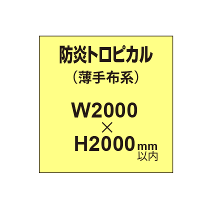 防炎トロピカル （薄手布系）【W2000～H2000mm以内】
