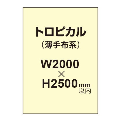 トロピカル （薄手布系）【W2000～H2500mm以内】