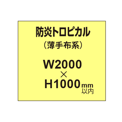 防炎トロピカル （薄手布系）【W2000～H1000mm以内】