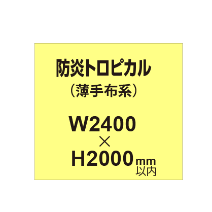 防炎トロピカル （薄手布系）【W2400～H2000mm以内】